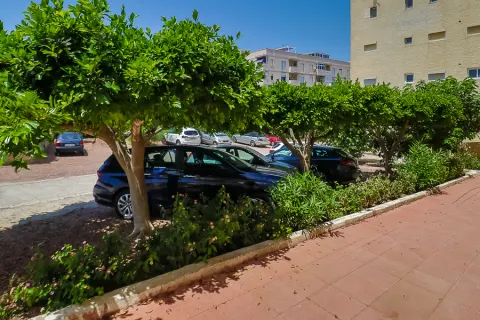 Butas Torrevieja, miniatiūra 14