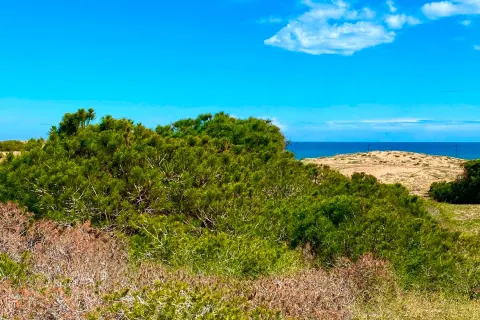 Butas Torrevieja, miniatiūra 14
