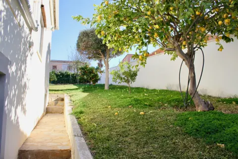 Villa Torrevieja, sīktēls 4