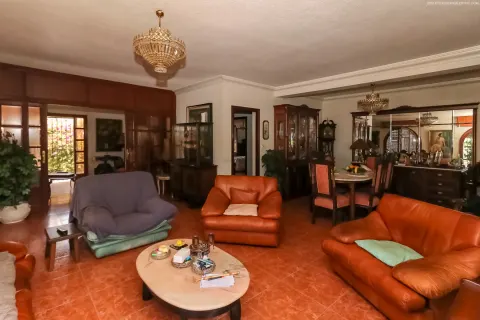 Villa Torrevieja, sīktēls 15