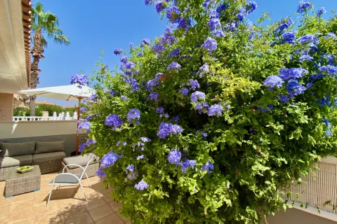 Kotedžas Orihuela Costa, miniatiūra 11