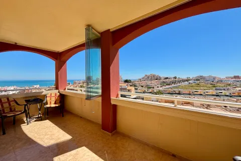 Butas Torrevieja, miniatiūra 3