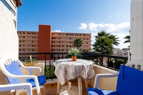 Butas Torrevieja, miniatiūra 2
