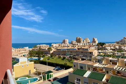 Butas Torrevieja, miniatiūra 9