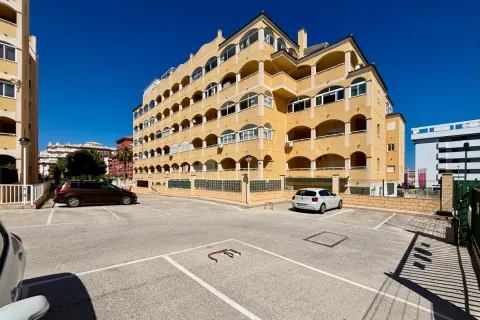 Butas Torrevieja, miniatiūra 3