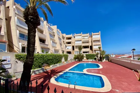 Butas Torrevieja, miniatiūra 13
