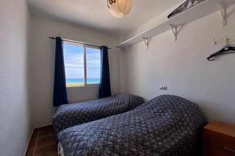 Butas Torrevieja, miniatiūra 9