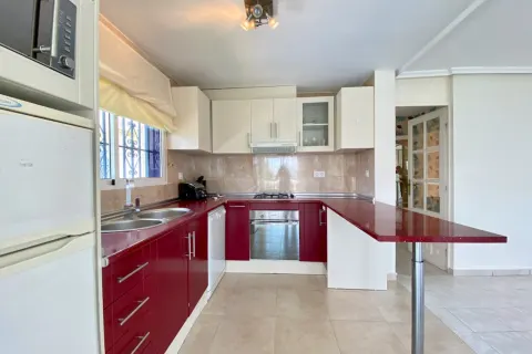 Villa Torrevieja, sīktēls 5
