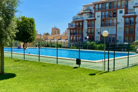 Butas Torrevieja, miniatiūra 6