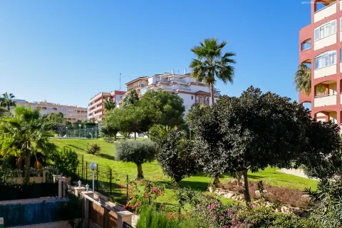 Kotedžas Torrevieja, miniatiūra 14
