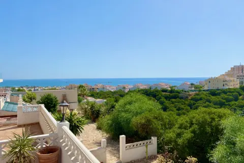 Kotedžas Torrevieja, miniatiūra 5