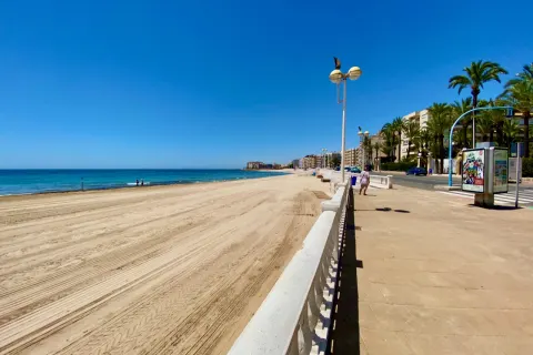 Butas Torrevieja, miniatiūra 5