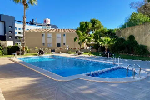 Butas Torrevieja, miniatiūra 8