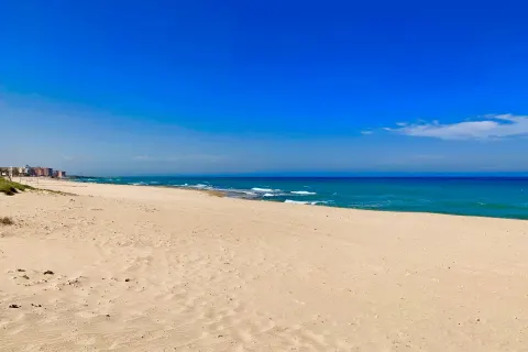 Butas Torrevieja, miniatiūra 3