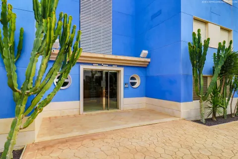 Butas Torrevieja, miniatiūra 10