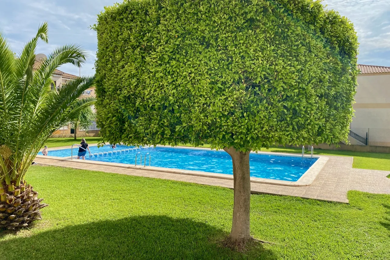 Butas / bungalas — Torrevieja – Aguas Nuevas, nuotrauka 1 iš 15
