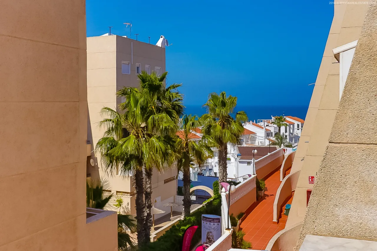 Butas / bungalas — Torrevieja – Lomas del Mar, nuotrauka 1 iš 15