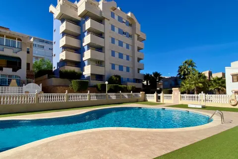 Butas Torrevieja, miniatiūra 8