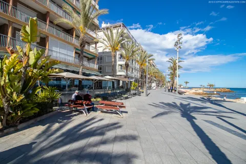 Butas Torrevieja, miniatiūra 15