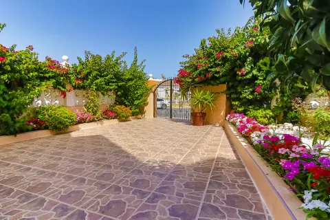 Vila Torrevieja, miniatiūra 8