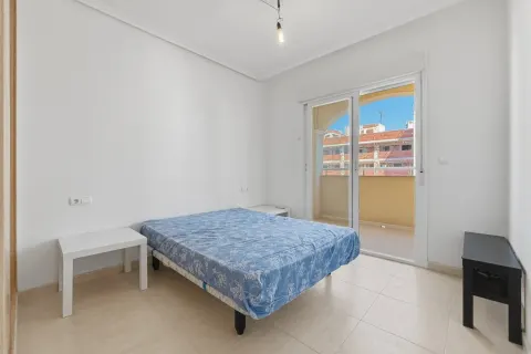Butas Torrevieja, miniatiūra 12