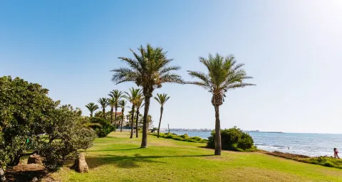 Dzīvoklis Torrevieja, sīktēls 4