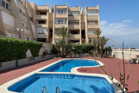 Butas Torrevieja, miniatiūra 6