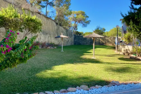 Butas Torrevieja, miniatiūra 6