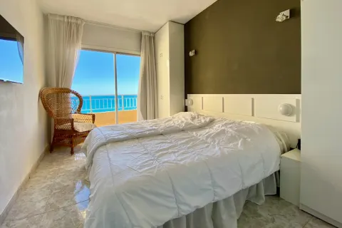 Butas Torrevieja, miniatiūra 5