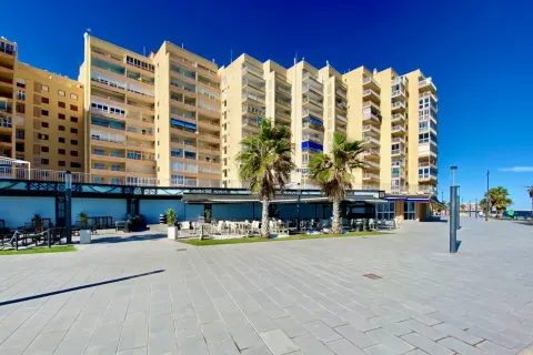 Butas Torrevieja, miniatiūra 4