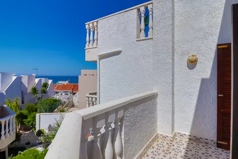 Kotedžas Torrevieja, miniatiūra 12