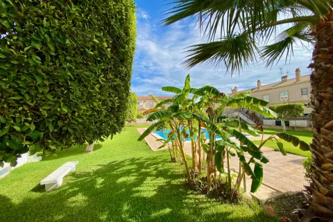 Butas Torrevieja, miniatiūra 8