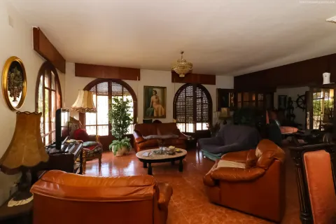 Villa Torrevieja, sīktēls 14