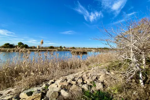Butas Guardamar del Segura, miniatiūra 6