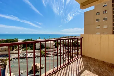 Butas Torrevieja, miniatiūra 6