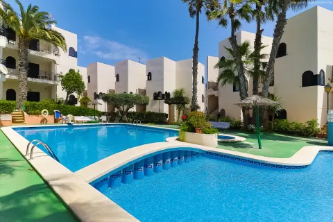 Butas Torrevieja, miniatiūra 3