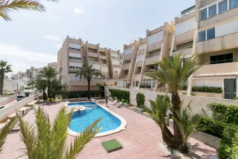 Butas Torrevieja, miniatiūra 1
