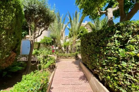 Butas Torrevieja, miniatiūra 7