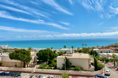Butas Torrevieja, miniatiūra 3