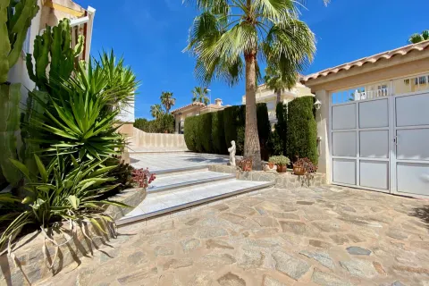 Vila Torrevieja, miniatiūra 11