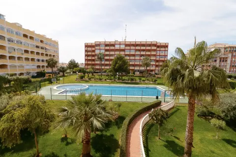 Butas Torrevieja, miniatiūra 2
