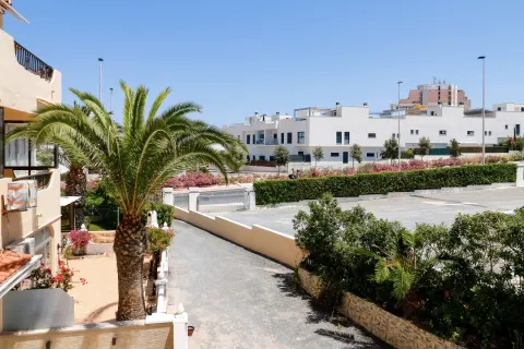 Butas Torrevieja, miniatiūra 2