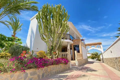 Villa Torrevieja, sīktēls 10